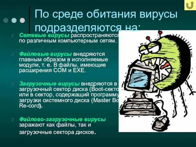 По среде обитания вирусы подразделяются на: Сетевые вирусы распространяются по