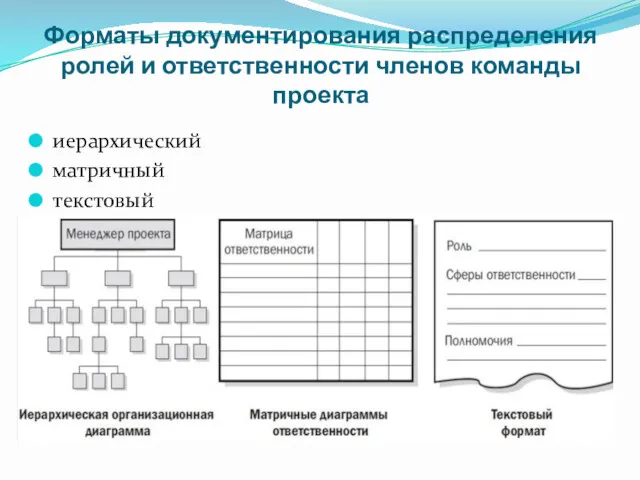 Форматы документирования распределения ролей и ответственности членов команды проекта иерархический матричный текстовый