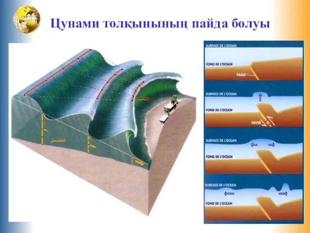 Цунами толқынының пайда болуы