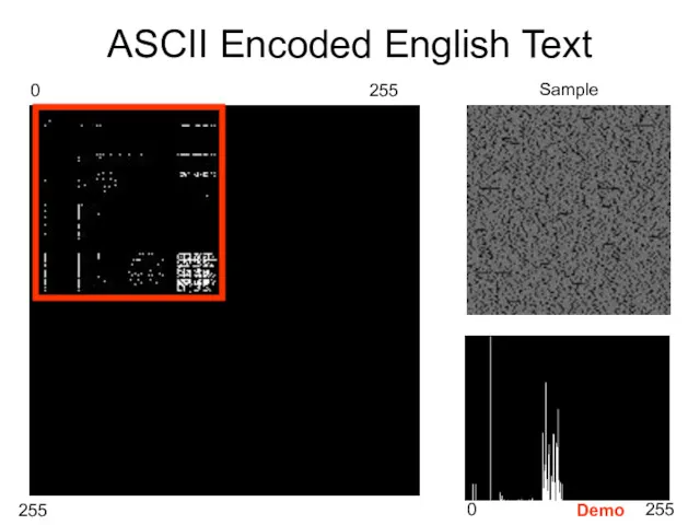 ASCII Encoded English Text 0 255 0 255 255 Sample Demo