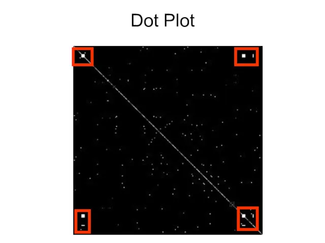 Dot Plot