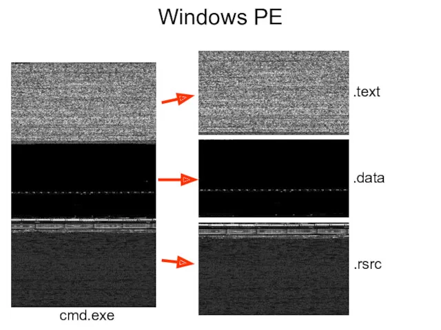 Windows PE .data .rsrc cmd.exe .text