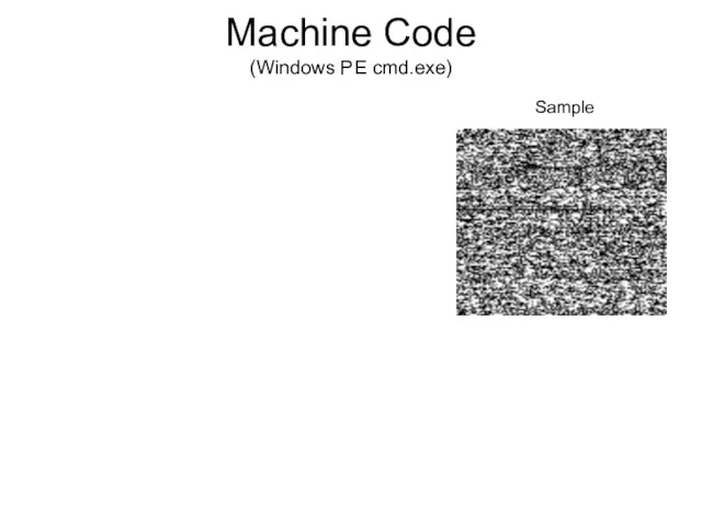 Machine Code (Windows PE cmd.exe) Sample