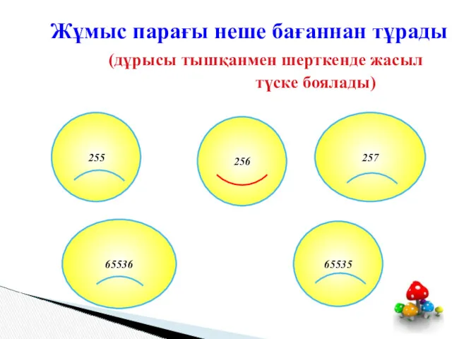 Жұмыс парағы неше бағаннан тұрады (дұрысы тышқанмен шерткенде жасыл түске боялады) 256 255 257 65536 65535