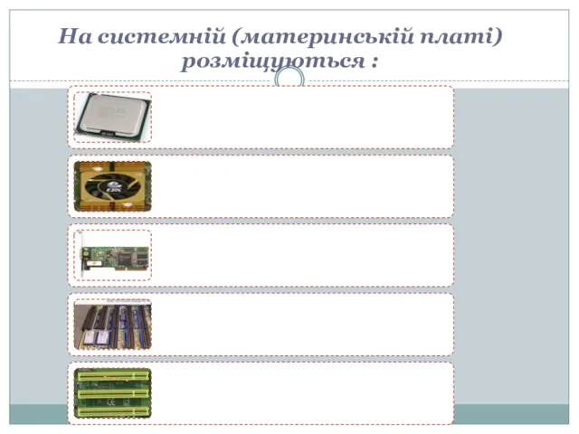 На системній (материнській платі) розміщуються :