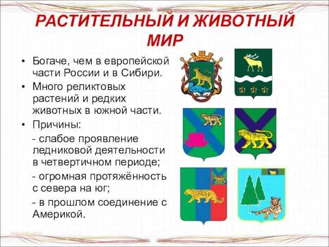 РАСТИТЕЛЬНЫЙ И ЖИВОТНЫЙ МИР Богаче, чем в европейской части России и в Сибири.