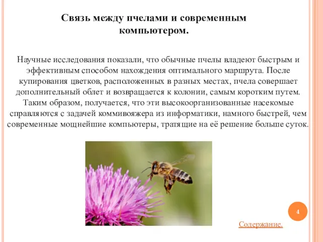 Научные исследования показали, что обычные пчелы владеют быстрым и эффективным