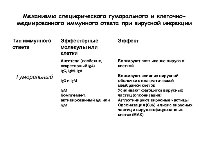 Механизмы специфического гуморального и клеточно-медиированного иммунного ответа при вирусной инфекции