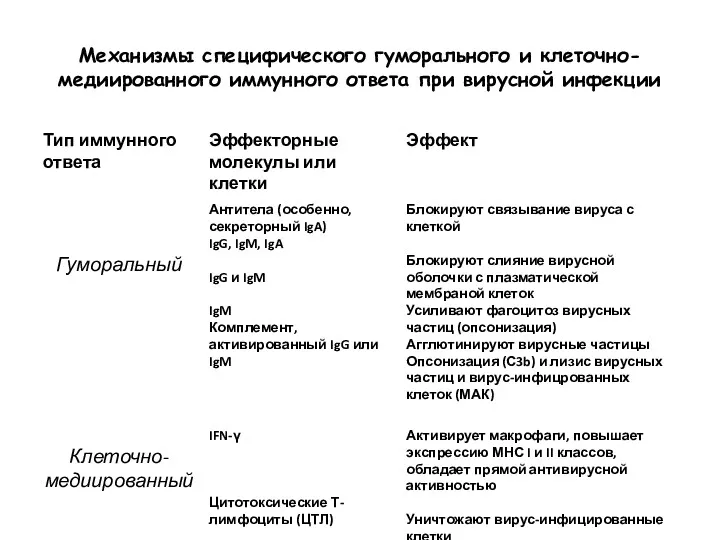 Механизмы специфического гуморального и клеточно-медиированного иммунного ответа при вирусной инфекции