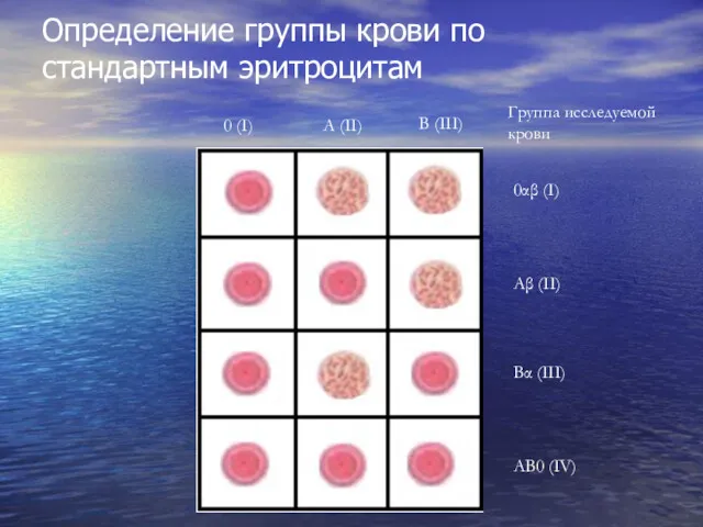 Определение группы крови по стандартным эритроцитам 0 (I) A (II)