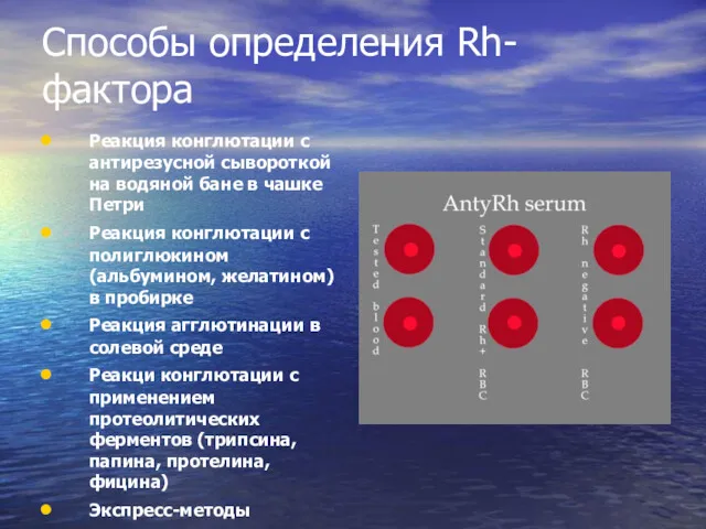 Способы определения Rh-фактора Реакция конглютации с антирезусной сывороткой на водяной