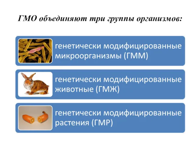 ГМО объединяют три группы организмов: