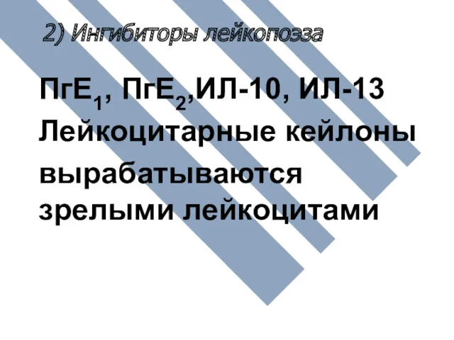 2) Ингибиторы лейкопоэза ПгЕ1, ПгЕ2,ИЛ-10, ИЛ-13 Лейкоцитарные кейлоны вырабатываются зрелыми лейкоцитами