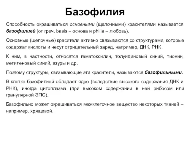 Базофилия Способность окрашиваться основными (щелочными) красителями называется базофилией (от греч.