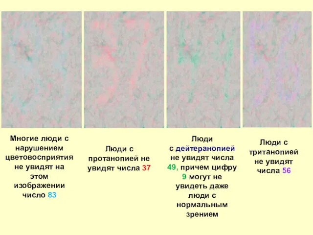 Многие люди с нарушением цветовосприятия не увидят на этом изображении