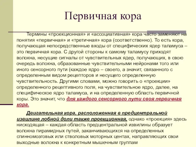 Первичная кора Термины «проекционная» и «ассоциативная» кора часто заменяют на