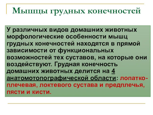 Мышцы грудных конечностей У различных видов домашних животных морфологические особенности