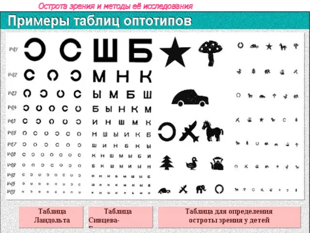 Острота зрения и методы её исследования