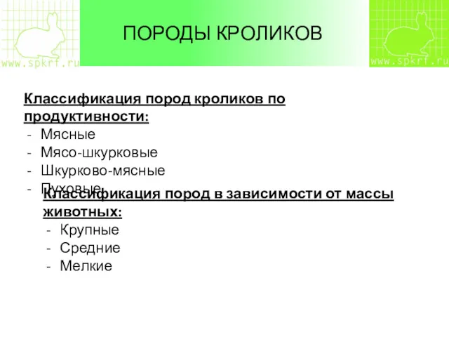 ПОРОДЫ КРОЛИКОВ Классификация пород кроликов по продуктивности: Мясные Мясо-шкурковые Шкурково-мясные