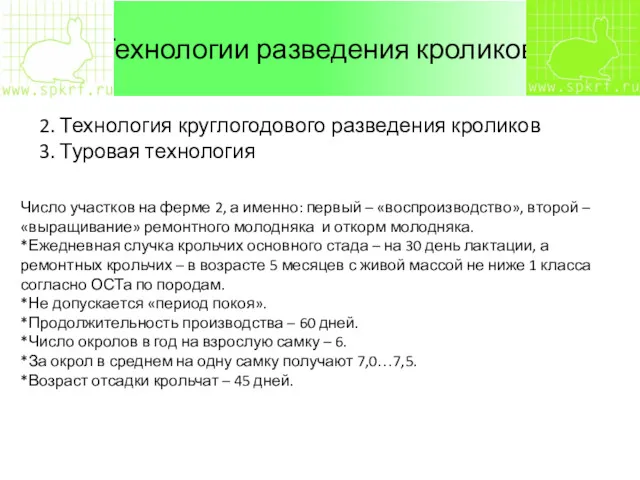 Технологии разведения кроликов 2. Технология круглогодового разведения кроликов 3. Туровая