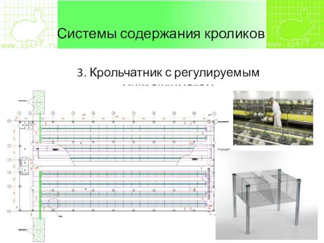 Системы содержания кроликов 3. Крольчатник с регулируемым микроклиматом