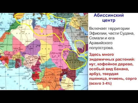 Абиссинский центр Включает территории Эфиопии, части Судана, Сомали и юга