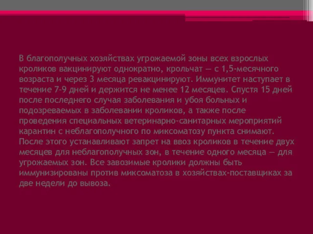 В благополучных хозяйствах угрожаемой зоны всех взрослых кроликов вакцинируют однократно,