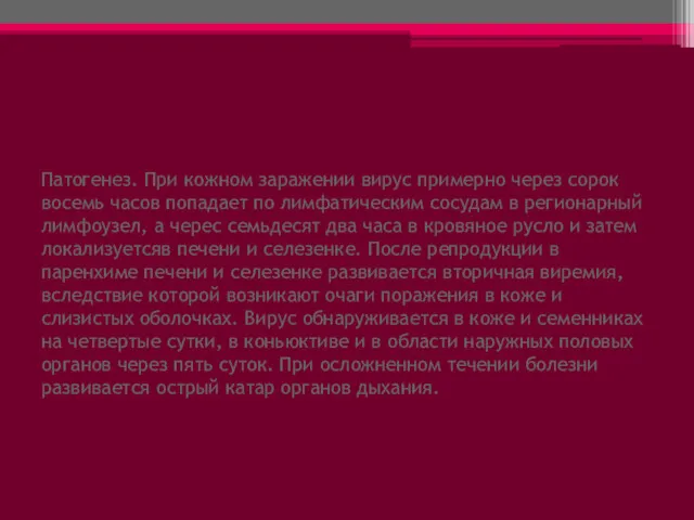 Патогенез. При кожном заражении вирус примерно через сорок восемь часов