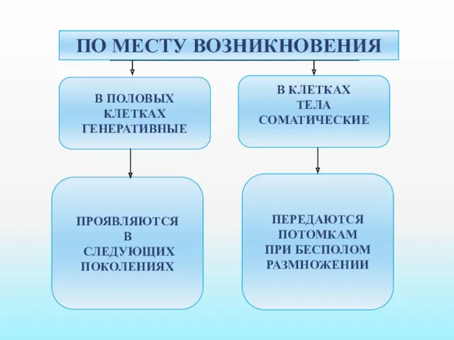 ПО МЕСТУ ВОЗНИКНОВЕНИЯ В ПОЛОВЫХ КЛЕТКАХ ГЕНЕРАТИВНЫЕ В КЛЕТКАХ ТЕЛА