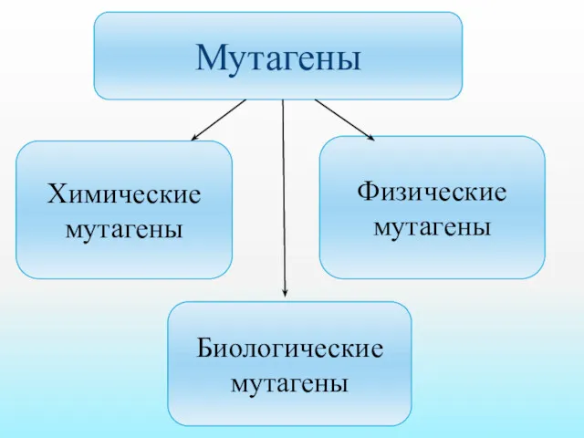 Мутагены Химические мутагены Физические мутагены Биологические мутагены