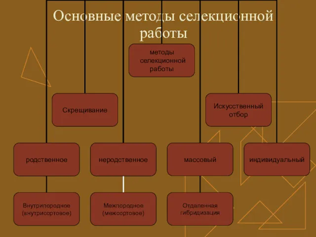 Основные методы селекционной работы