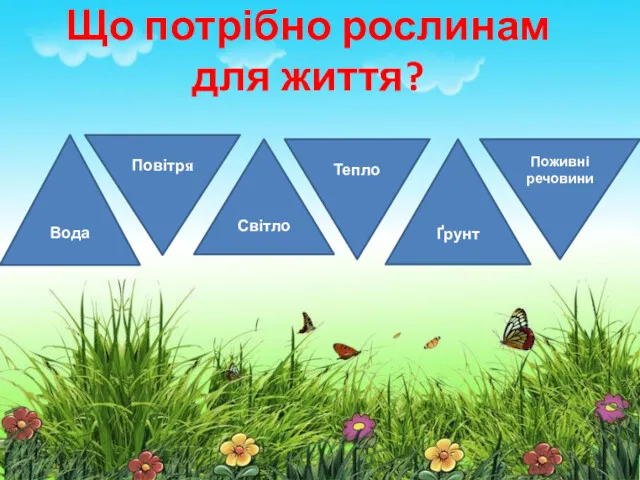 Що потрібно рослинам для життя? Вода Ґрунт Світло Повітря Тепло Поживні речовини