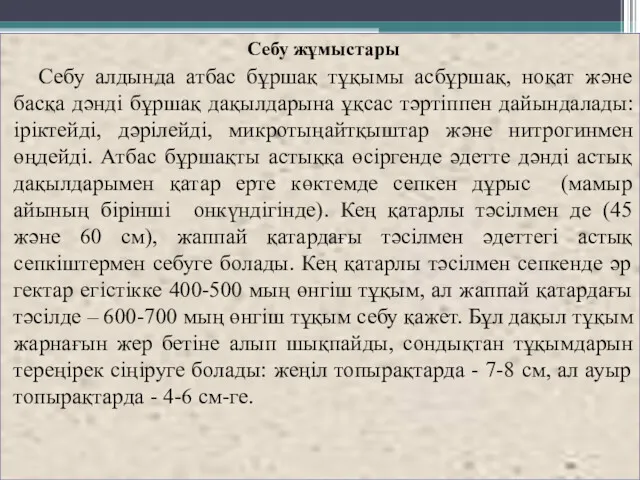 Себу жұмыстары Себу алдында атбас бұршақ тұқымы асбұршақ, ноқат және