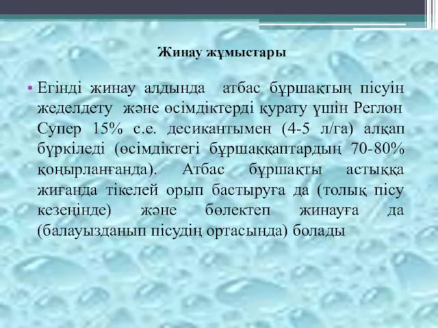 Егінді жинау алдында атбас бұршақтың пісуін жеделдету және өсімдіктерді қурату