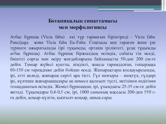 Ботаникалық сипаттамасы мен морфологиясы Атбас бұршақ (Vicia faba) екі түр