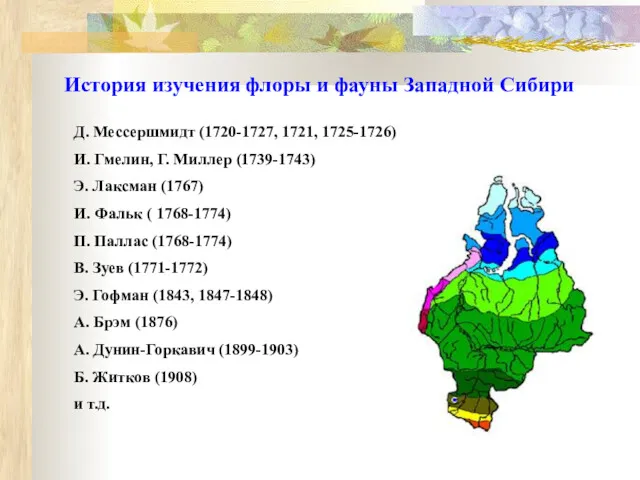 История изучения флоры и фауны Западной Сибири Д. Мессершмидт (1720-1727,