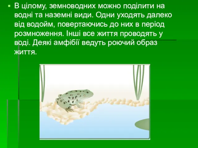 В цілому, земноводних можно поділити на водні та наземні види.