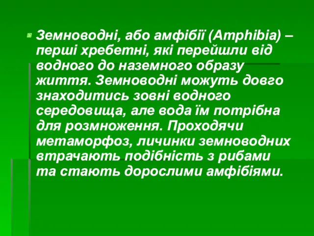 Земноводні, або амфібії (Amphibia) – перші хребетні, які перейшли від