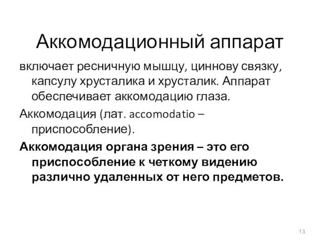 Аккомодационный аппарат включает ресничную мышцу, циннову связку, капсулу хрусталика и