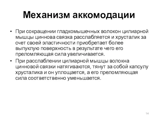 Механизм аккомодации При сокращении гладкомышечных волокон цилиарной мышцы циннова связка