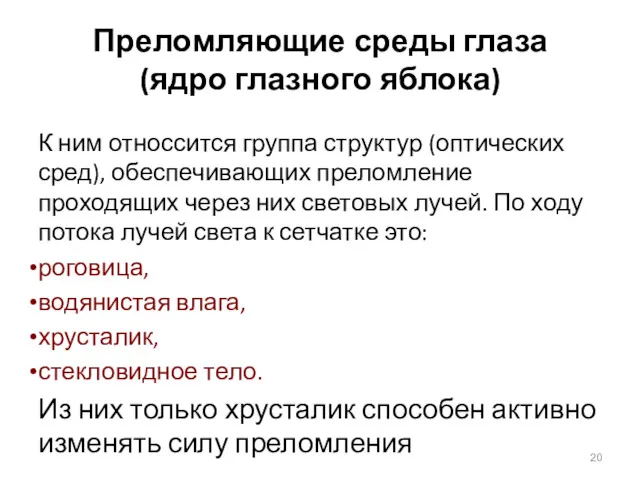 Преломляющие среды глаза (ядро глазного яблока) К ним относсится группа