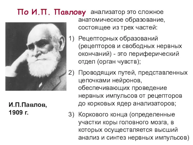 По И.П. Павлову анализатор это сложное анатомическое образование, состоящее из