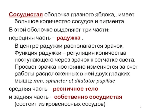 Сосудистая оболочка глазного яблока,, имеет большое количество сосудов и пигмента.