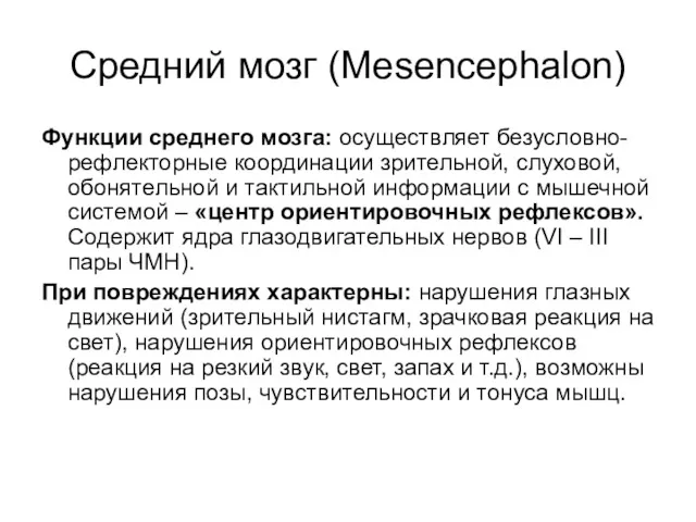 Средний мозг (Мesencephalon) Функции среднего мозга: осуществляет безусловно-рефлекторные координации зрительной,