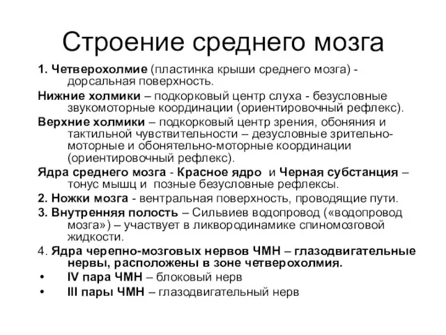 Строение среднего мозга 1. Четверохолмие (пластинка крыши среднего мозга) -дорсальная