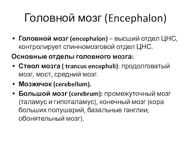 Головной мозг (Encephalon) Головной мозг (encephalon) – высший отдел ЦНС,