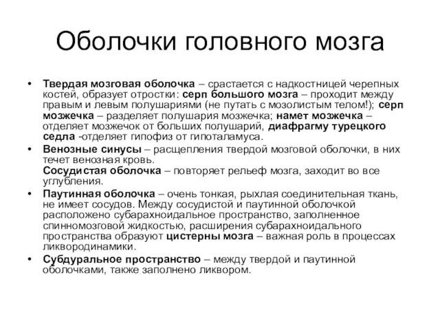 Оболочки головного мозга Твердая мозговая оболочка – срастается с надкостницей