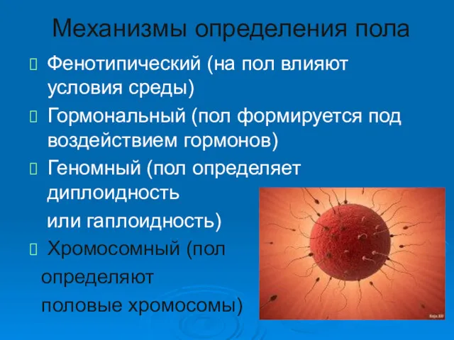 Механизмы определения пола Фенотипический (на пол влияют условия среды) Гормональный