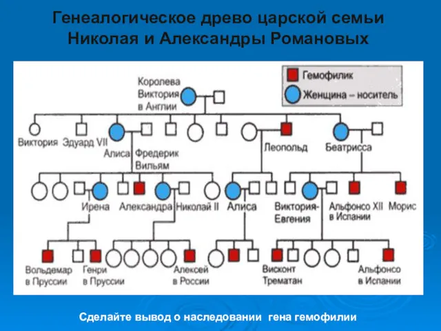 Генеалогическое древо царской семьи Николая и Александры Романовых Сделайте вывод о наследовании гена гемофилии