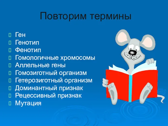 Повторим термины Ген Генотип Фенотип Гомологичные хромосомы Аллельные гены Гомозиготный